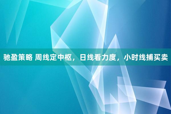 驰盈策略 周线定中枢，日线看力度，小时线捕买卖