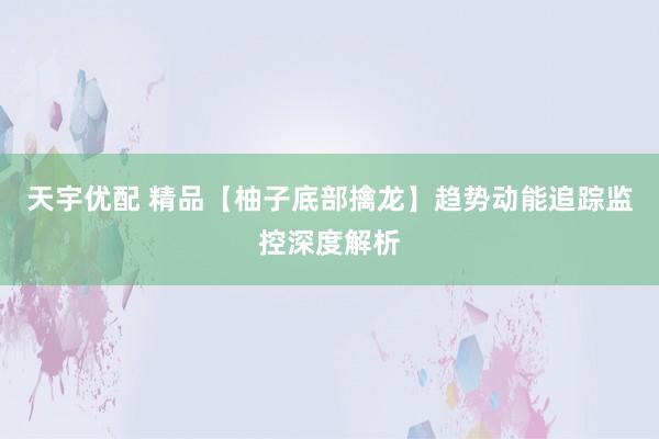 天宇优配 精品【柚子底部擒龙】趋势动能追踪监控深度解析
