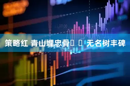 策略红 青山埋忠骨  无名树丰碑